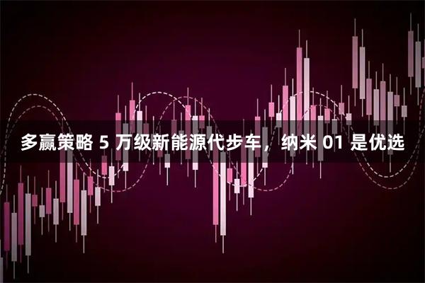 多赢策略 5 万级新能源代步车，纳米 01 是优选