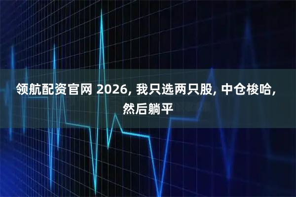 领航配资官网 2026, 我只选两只股, 中仓梭哈, 然后躺平