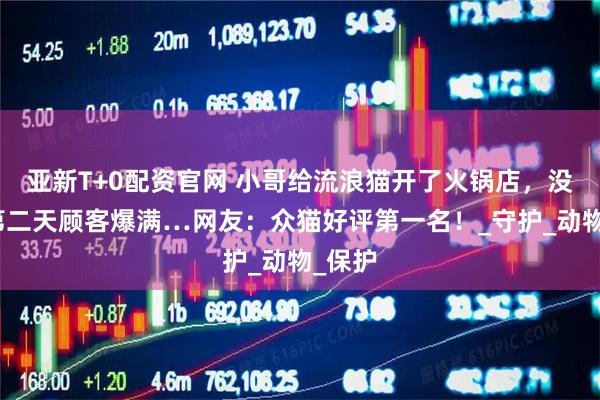 亚新T+0配资官网 小哥给流浪猫开了火锅店，没想到第二天顾客爆满…网友：众猫好评第一名！_守护_动物_保护