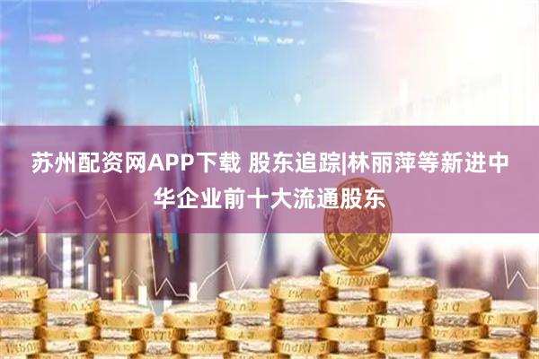 苏州配资网APP下载 股东追踪|林丽萍等新进中华企业前十大流通股东